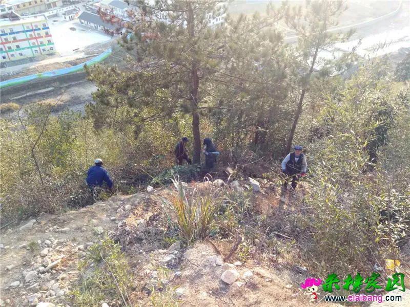 微信图片_20190124213511.webp