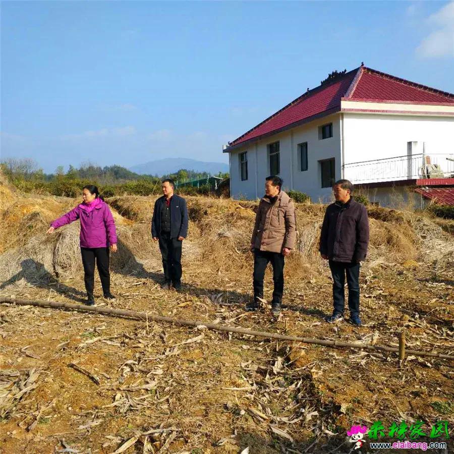 微信图片_20190201200554.webp