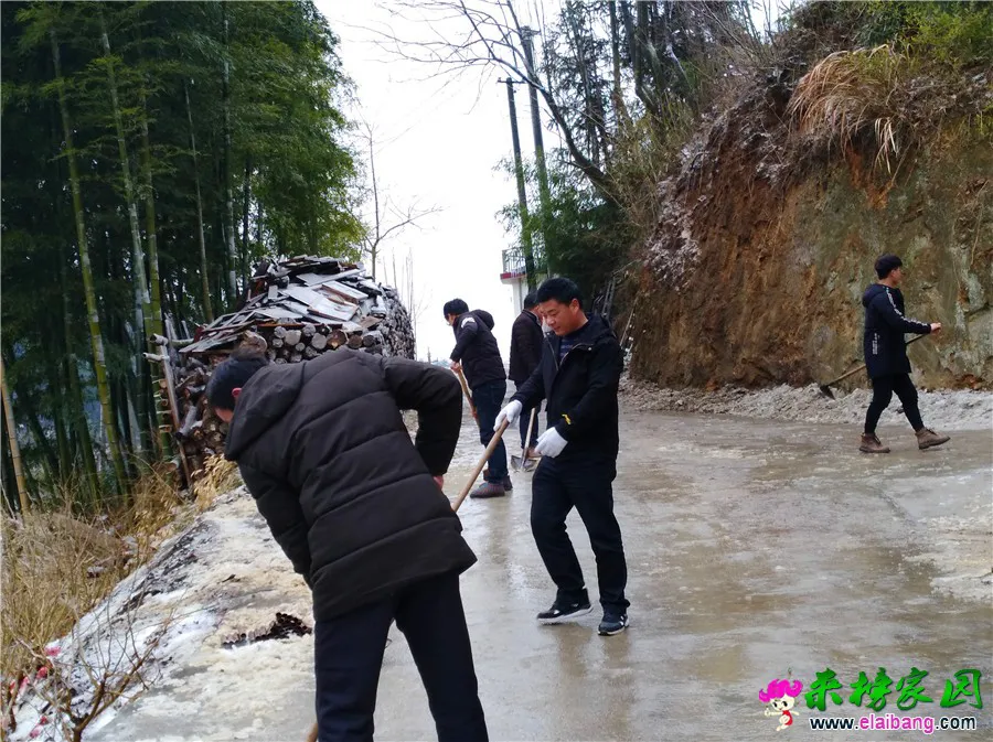 微信图片_20190211212823.webp