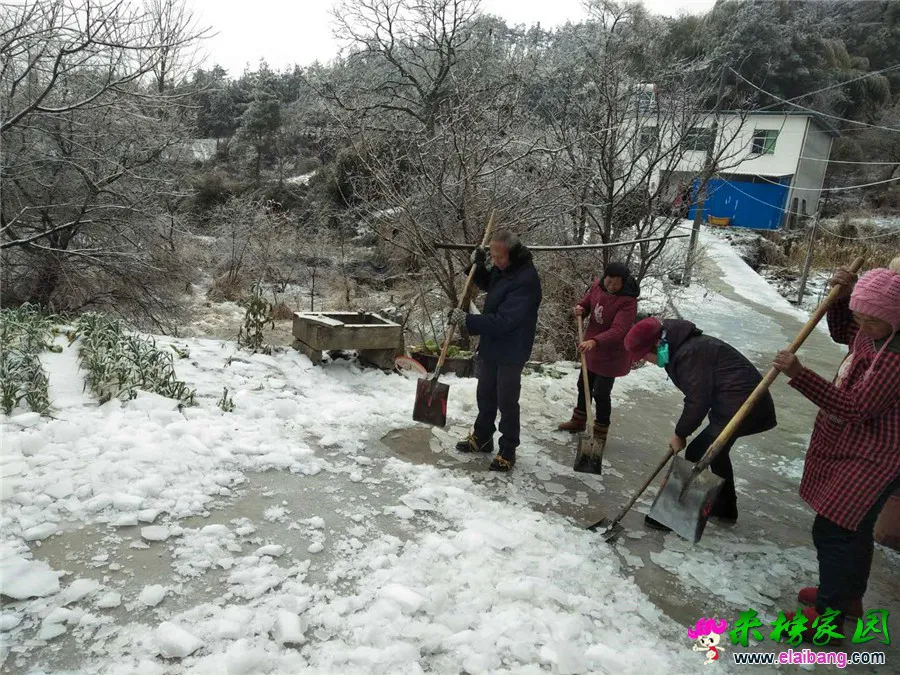 微信图片_20190211212819.webp
