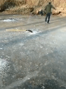 d76e4314c8e7eab37d08a0a910943c48.gif