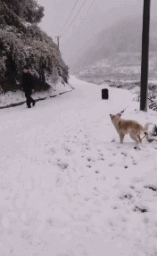 f3b40462b7b2b7b34596eadc461bc49f.gif