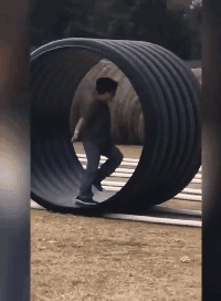 8325f9d13d6bb52ead0dd3df7368d8ab.gif