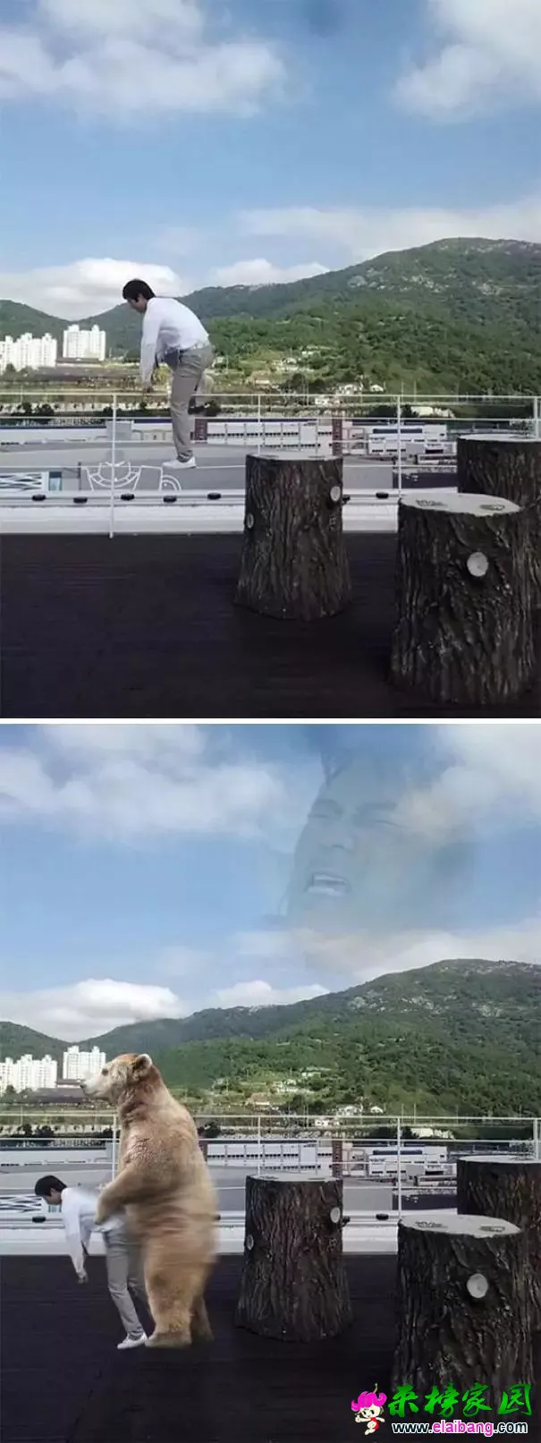 c5b85ac9b93c440ee0e34f38c1d6df13.webp