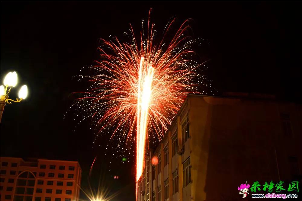 DSC_7002.webp