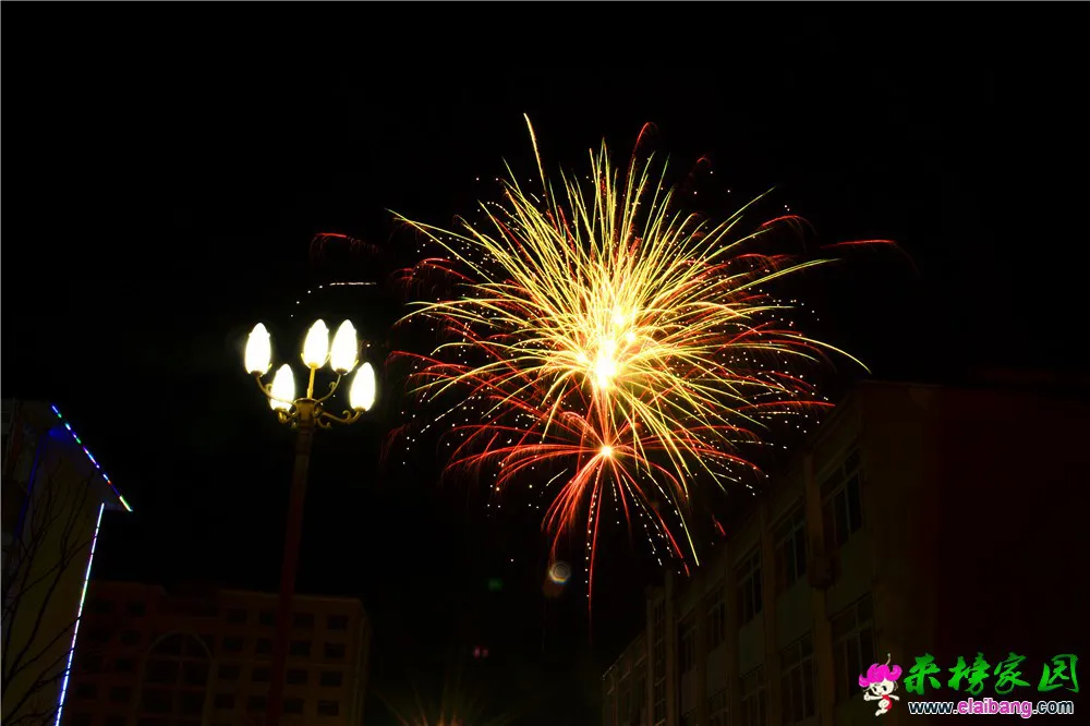 DSC_7003.webp