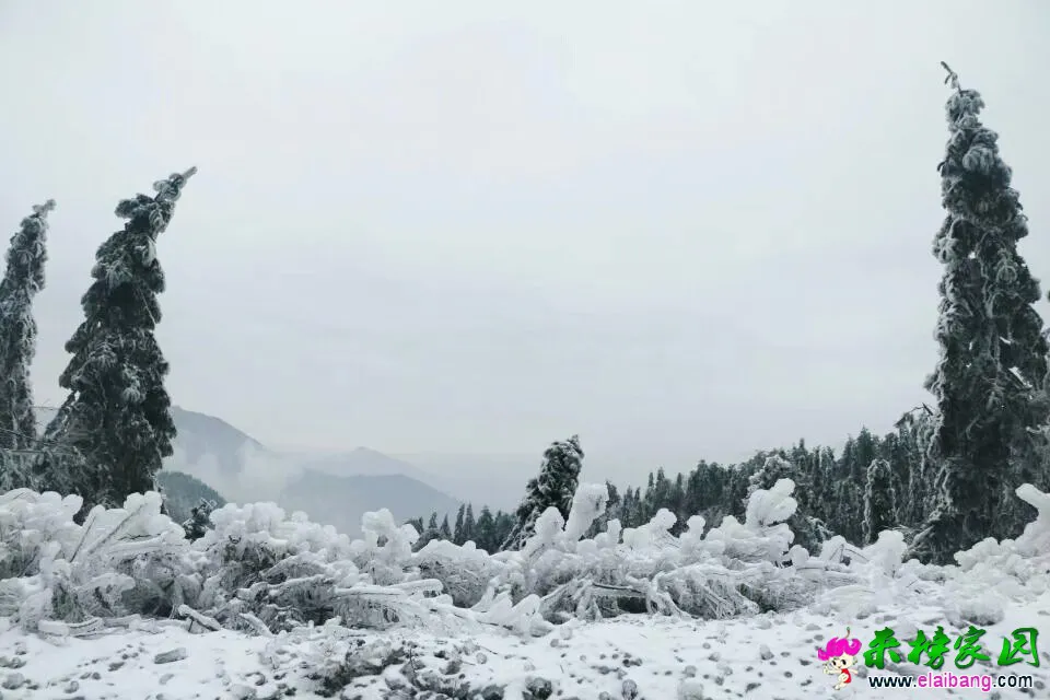 20190225_205722_000.webp