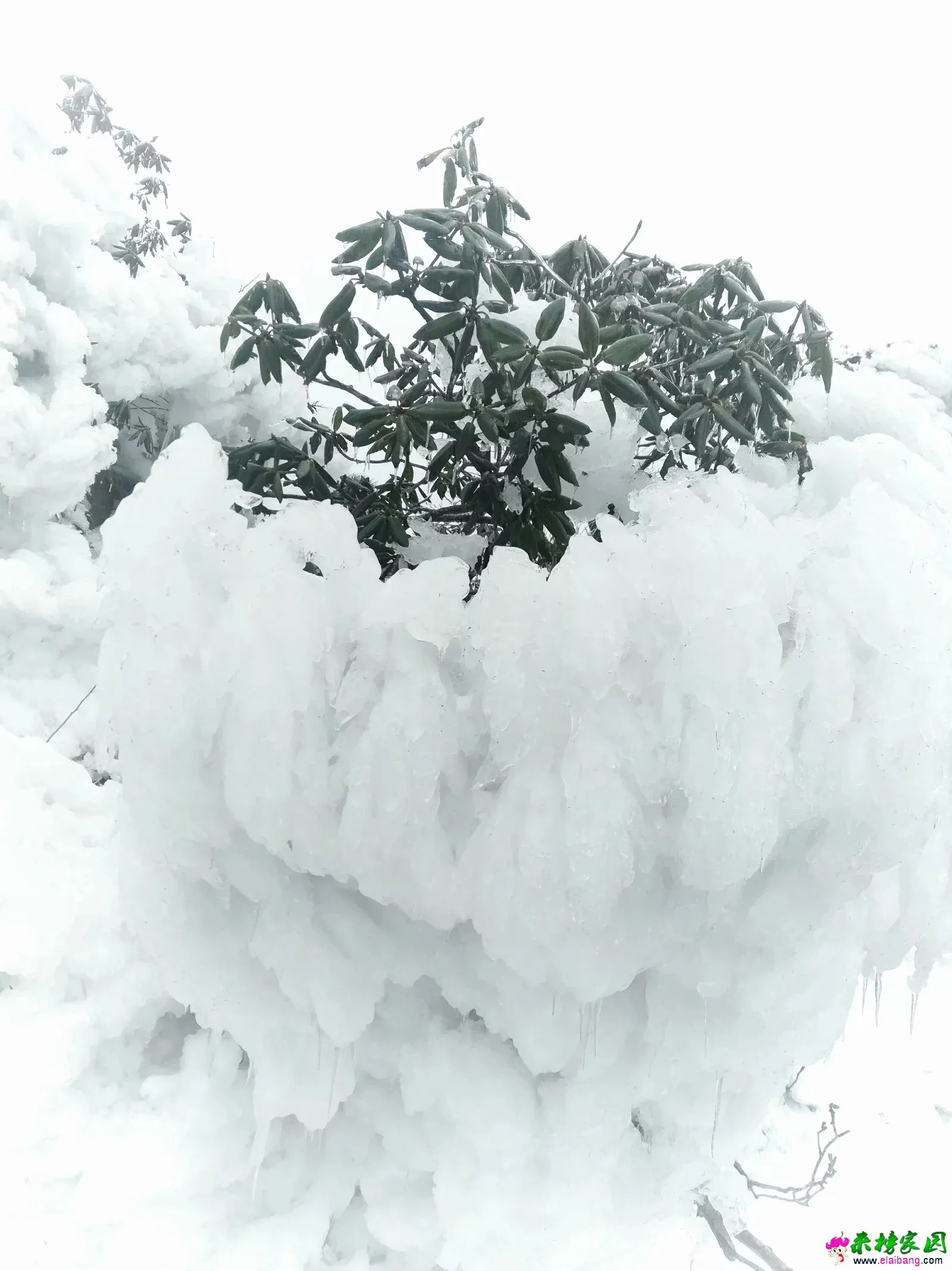 20190225_205722_003.webp