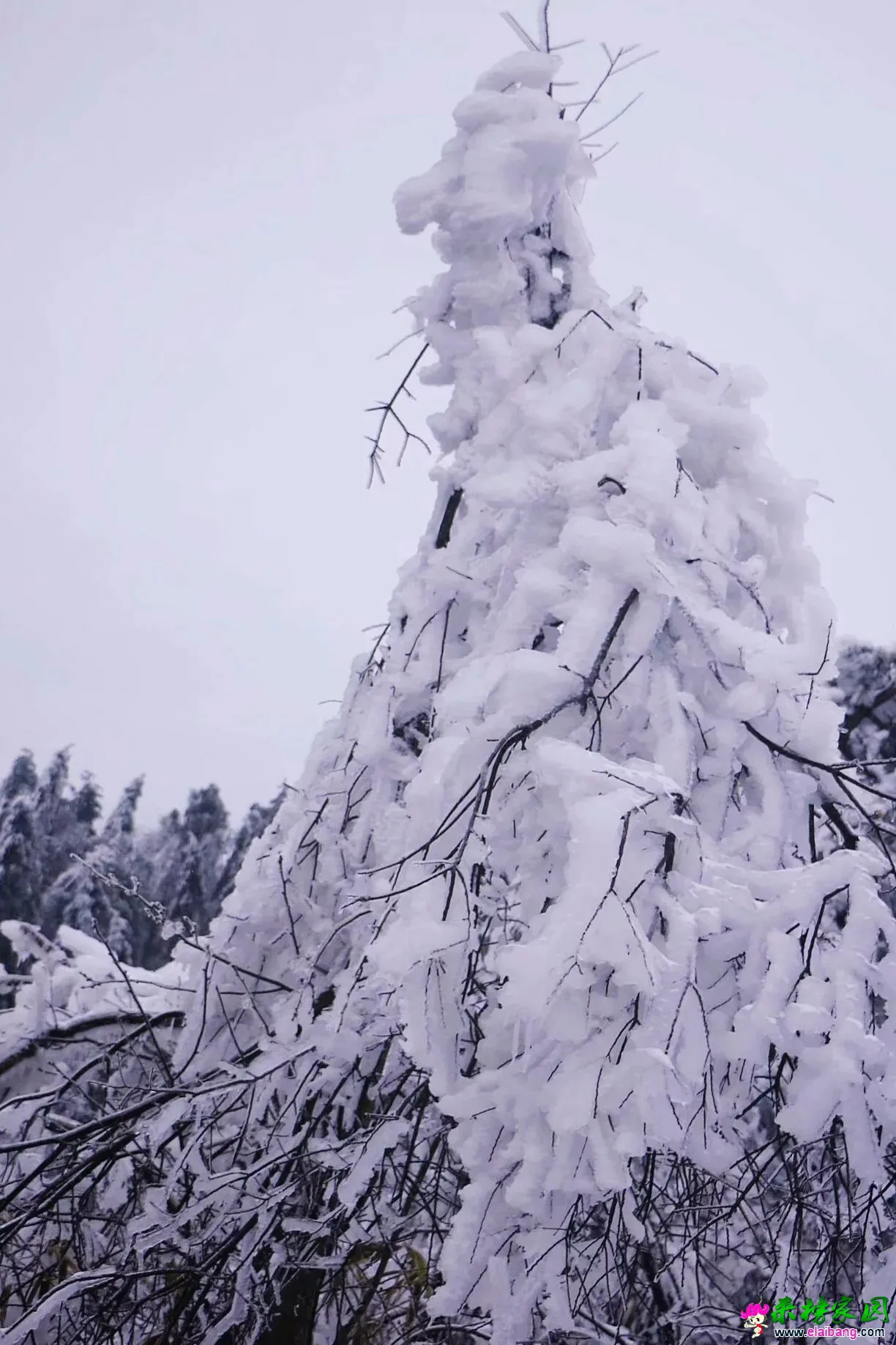 20190225_205722_008.webp