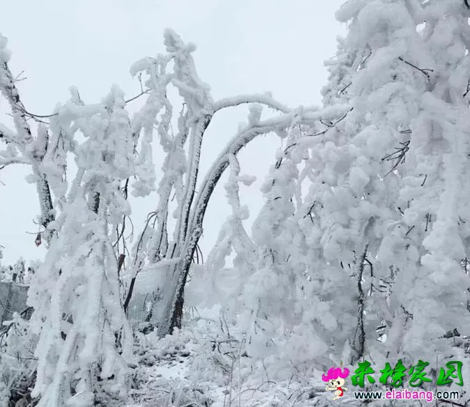 20190225_205722_009.webp
