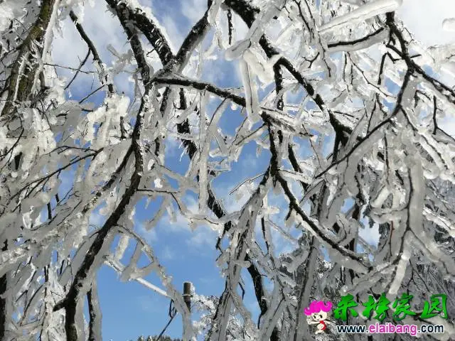 214219crdfffkrffr3drrr.webp