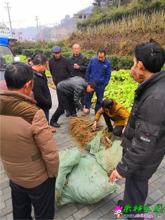 微信图片_20190303104244.webp