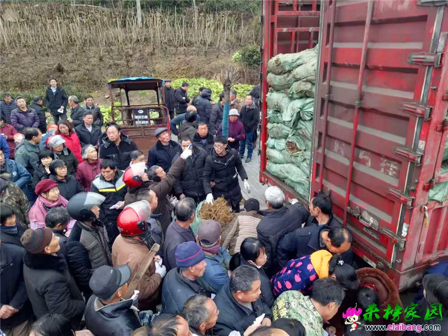 微信图片_20190303104207.webp