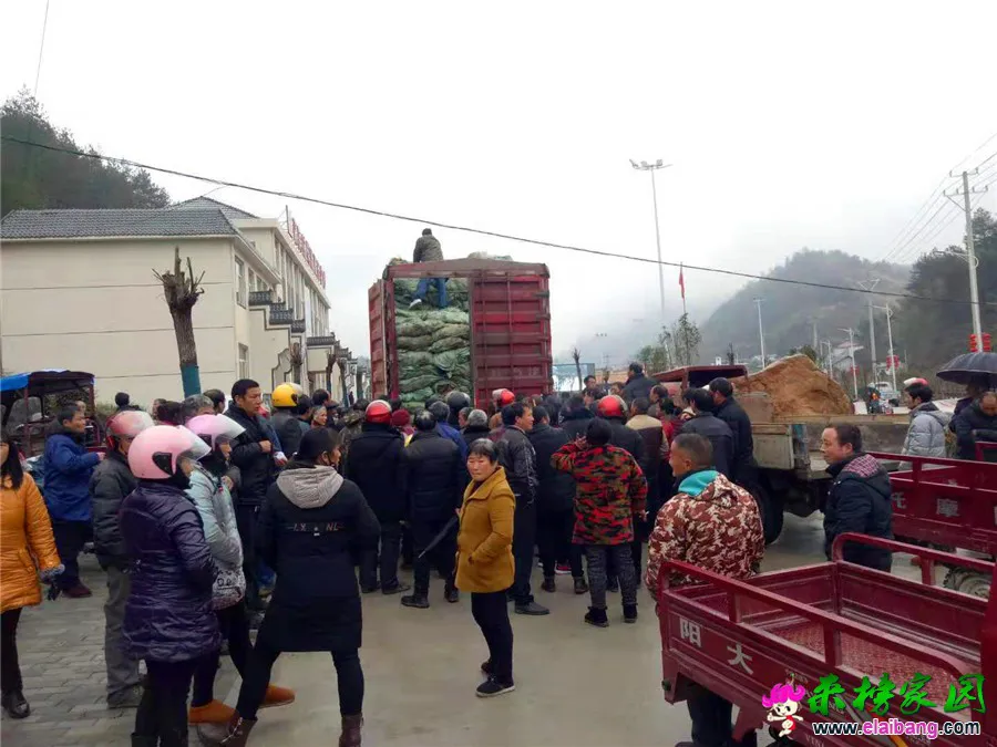 微信图片_20190303104230.webp
