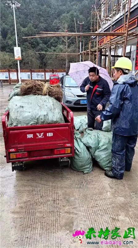 微信图片_20190305210642.webp