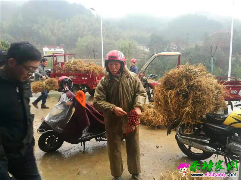 微信图片_20190305210702.webp