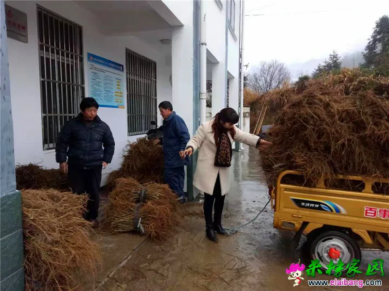 微信图片_20190305210728.webp