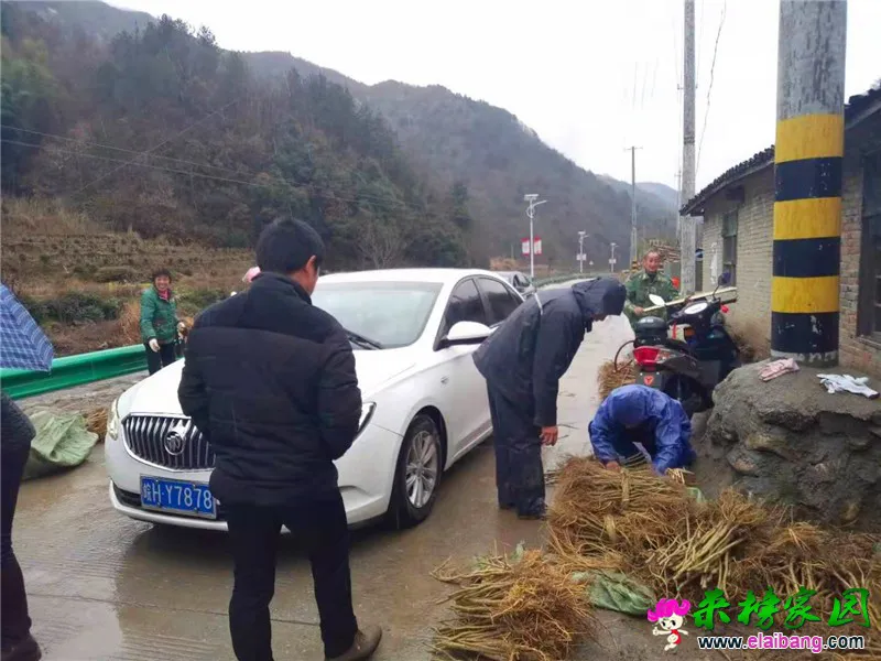 微信图片_20190305210737.webp