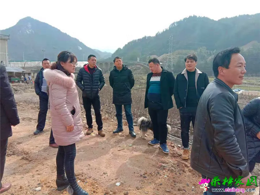 微信图片_20190306161659.webp