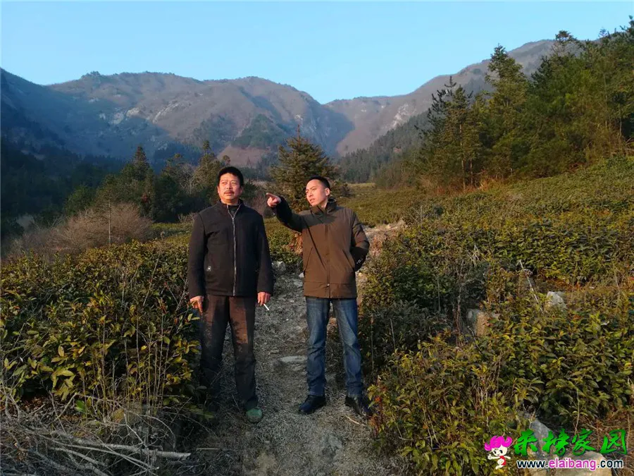 微信图片_20190307200511.webp