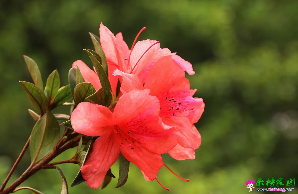 21820873.webp