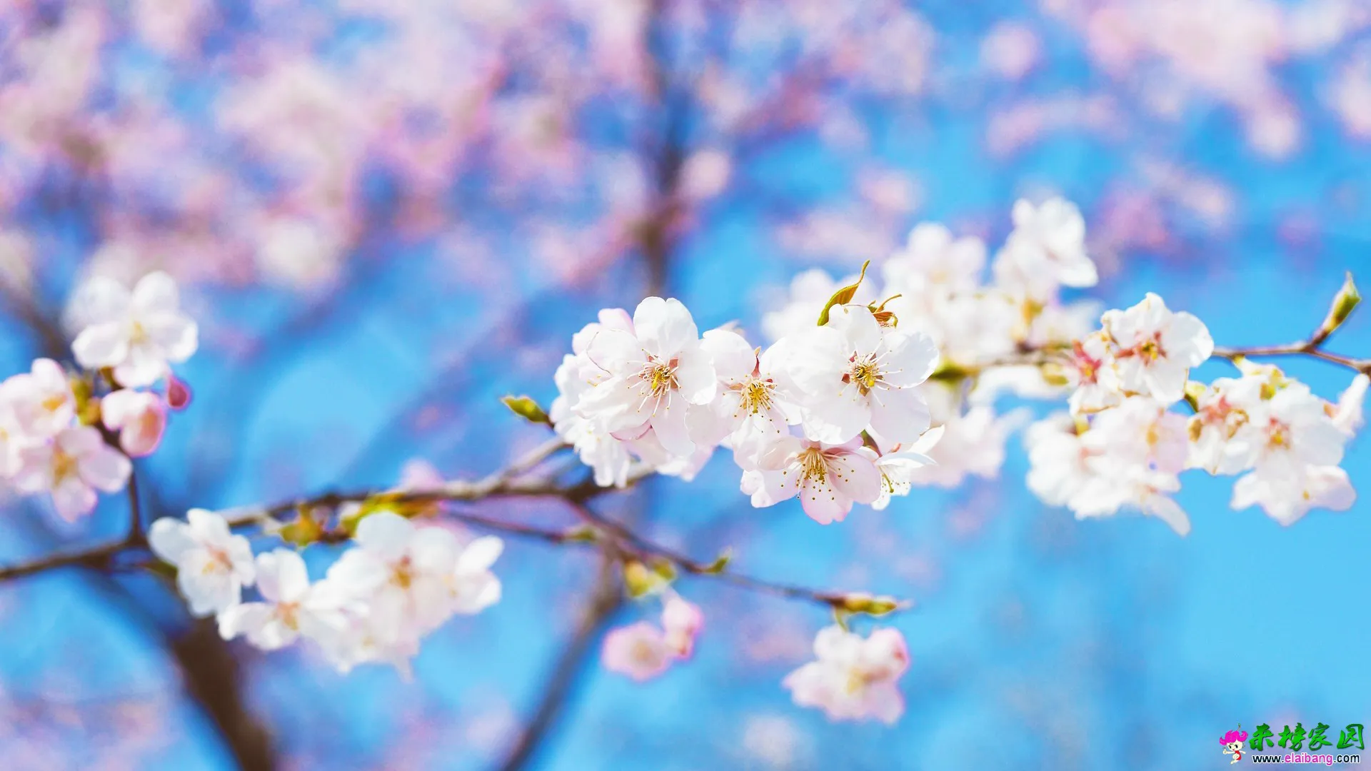 5a223fe3cd481.webp