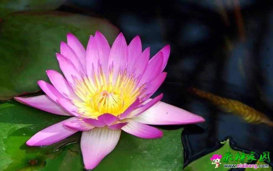 360截图16261008506274.webp