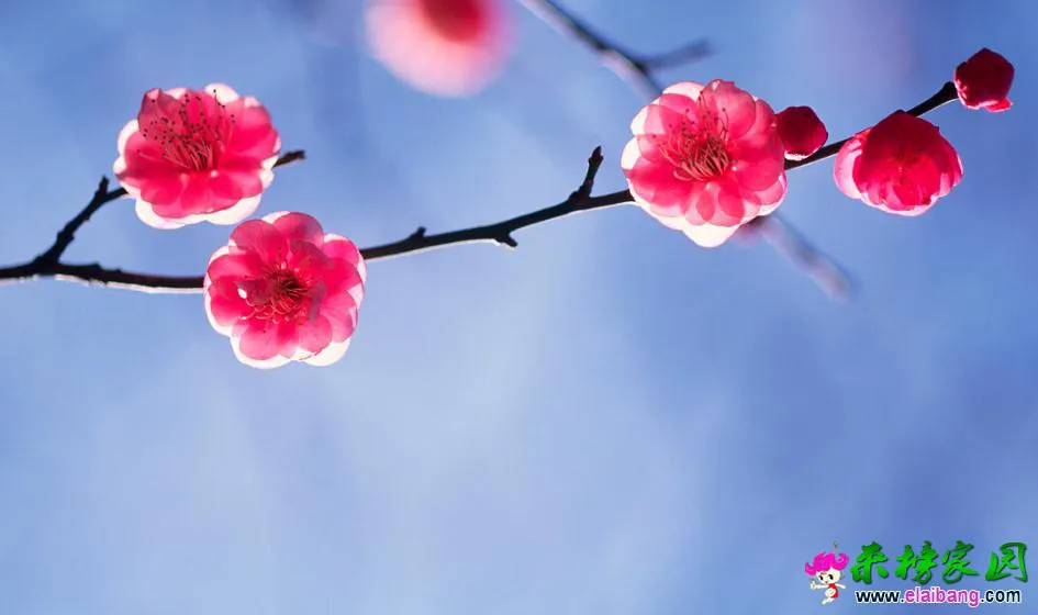 360截图16480229394748.webp