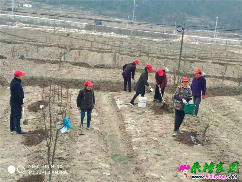 微信图片_20190308211103.webp