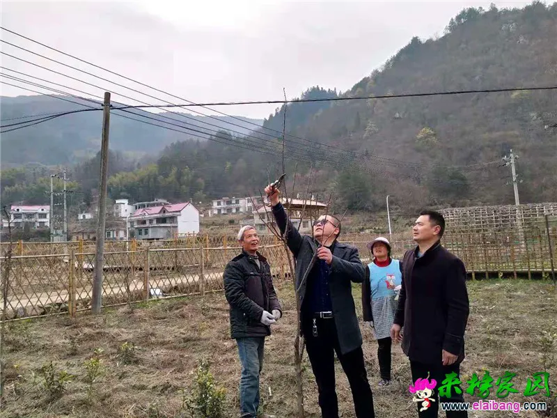 微信图片_20190308211106.webp