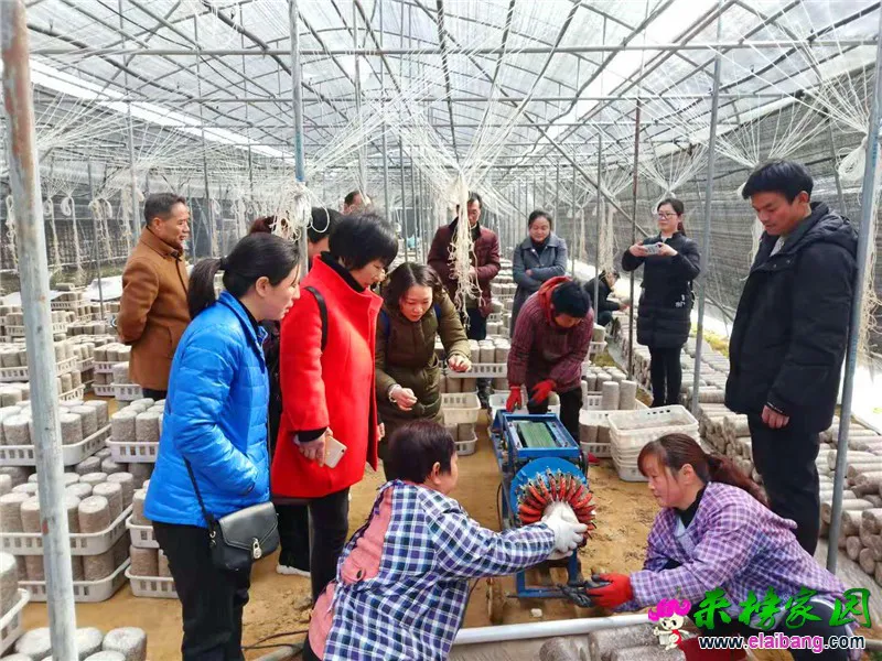微信图片_20190308211058.webp