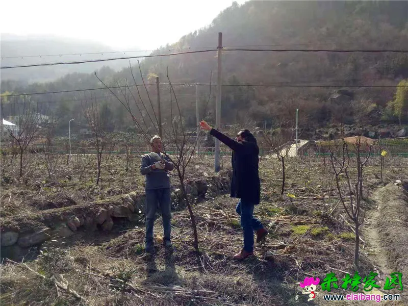 微信图片_20190311211522.webp