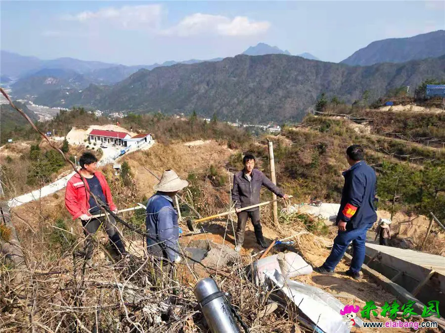 微信图片_20190312201540.webp