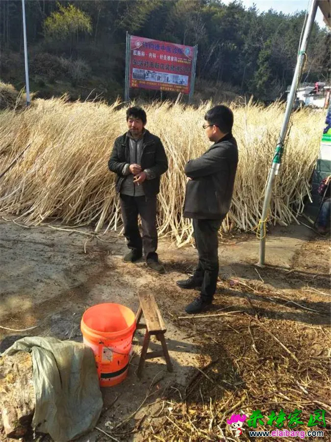 微信图片_20190313204851.webp