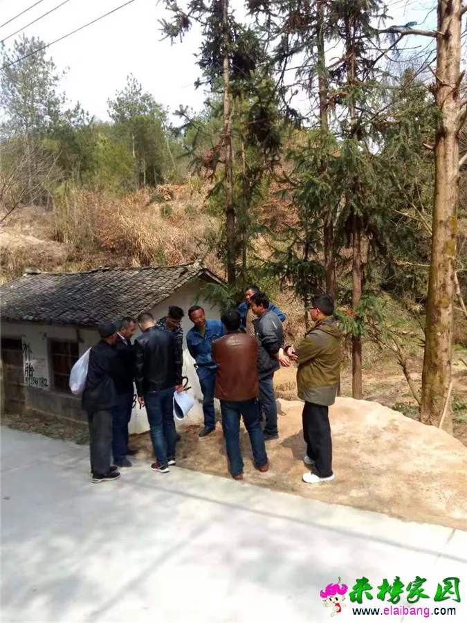 微信图片_20190314213133.webp