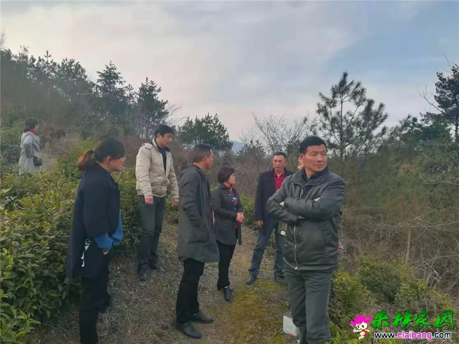 微信图片_20190314213139.webp