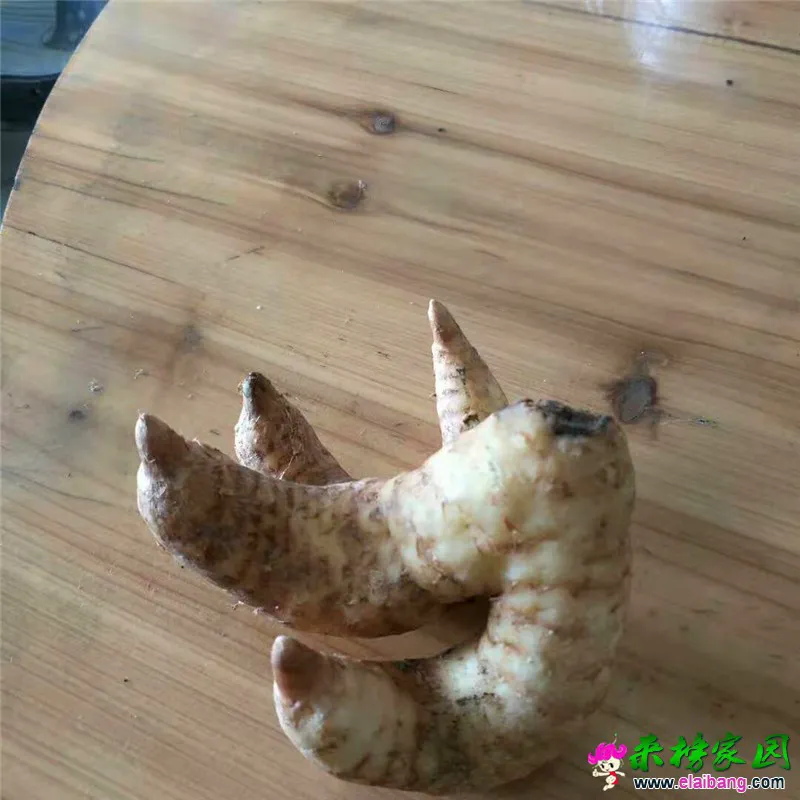 微信图片_20190318205903.webp