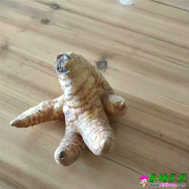 微信图片_20190318205912.webp