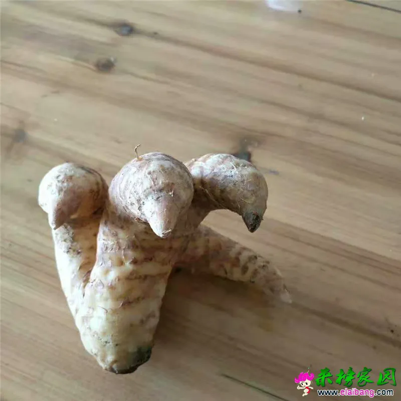 微信图片_20190318205909.webp