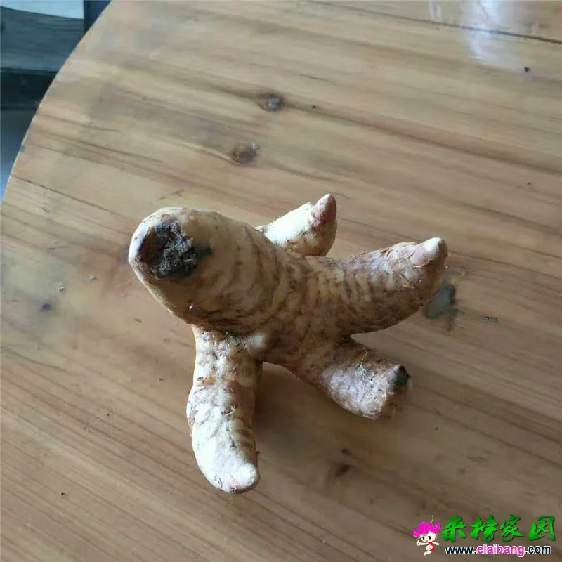 微信图片_20190318205907.webp