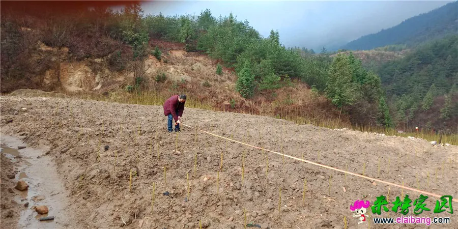 微信图片_20190320203148.webp