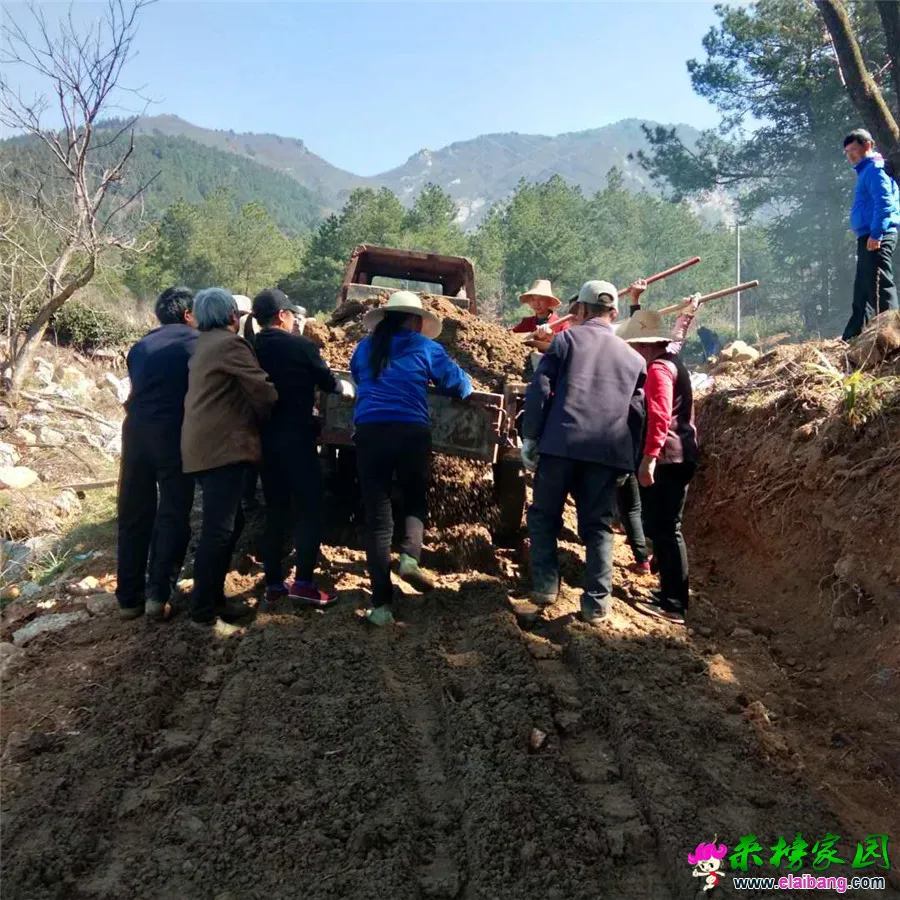 微信图片_20190401214114.webp