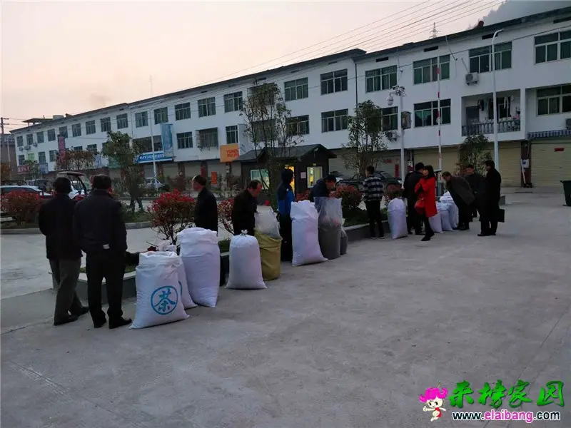微信图片_20190406202624.webp