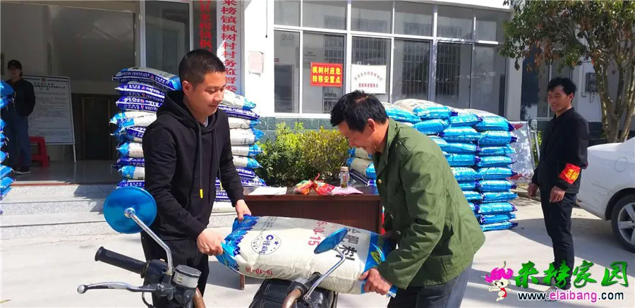 微信图片_20190407204648.webp