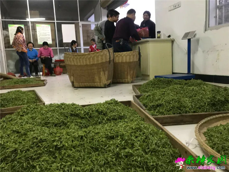 微信图片_20190407204658.webp