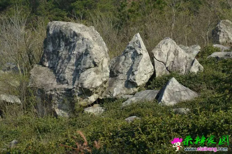 082716ejo55yy5rmnk4g2w.webp