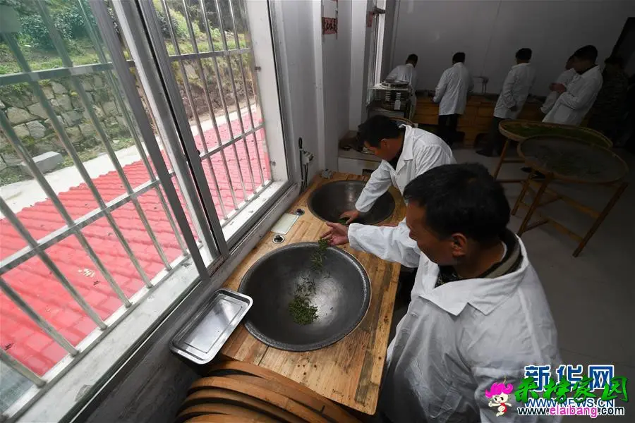 1210107201_15550687684211n.webp