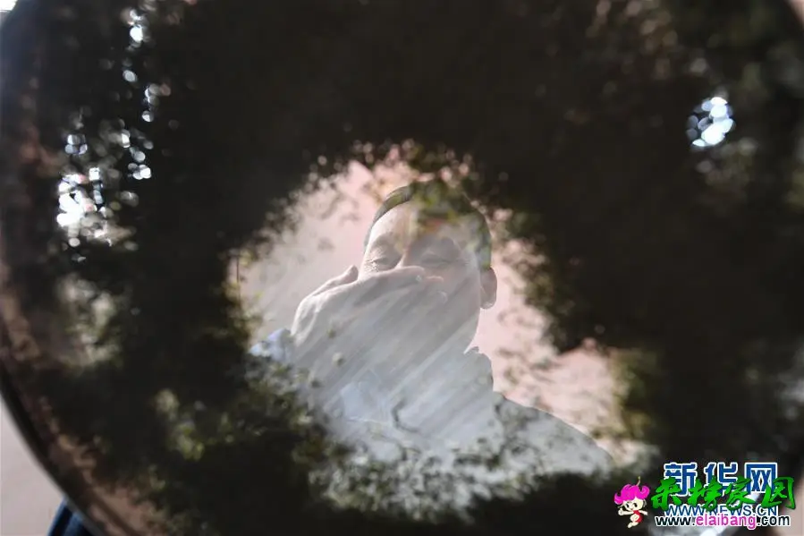 1210107201_15550687684761n.webp