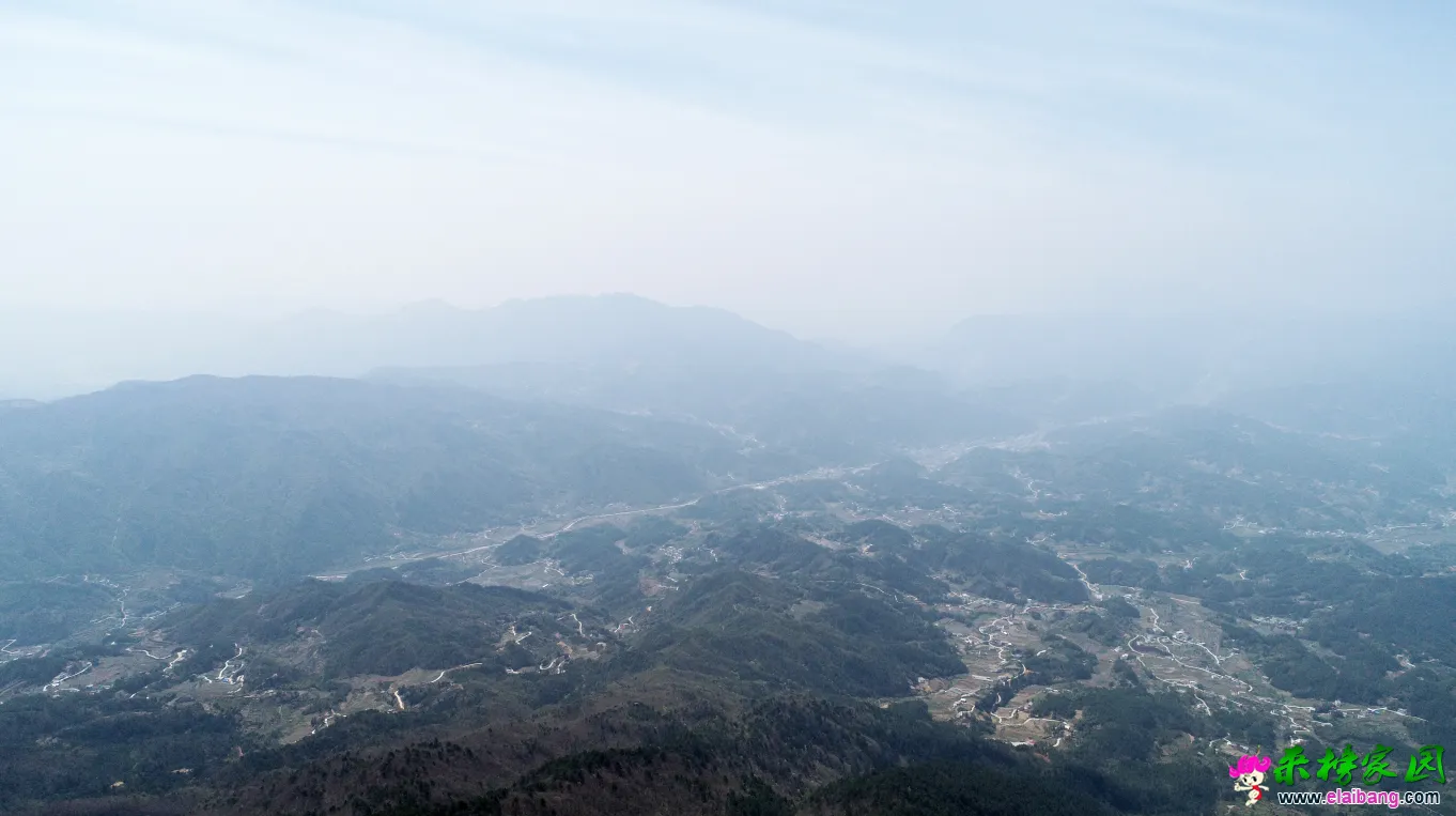 QQ图片20190418193456.webp