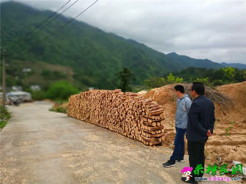微信图片_20190422210747.webp